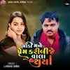 About Godi Mane Prem Kari Bije Vala Thaya Song